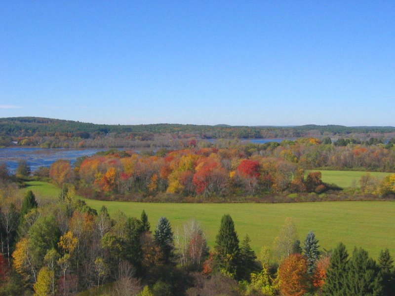 Cow Common Heading West